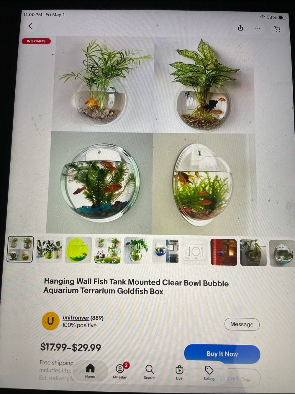 Hanging Clear Wall Fish Tank Bowl - Transparent